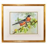 MIKE JACKSON (born 1961); gouache, 'American Robins', signed lower right, 27.5 x 34.5cm, framed