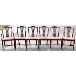 A set of six Edwardian mahogany Hepplewhite design dining chairs on square supports (4+2).