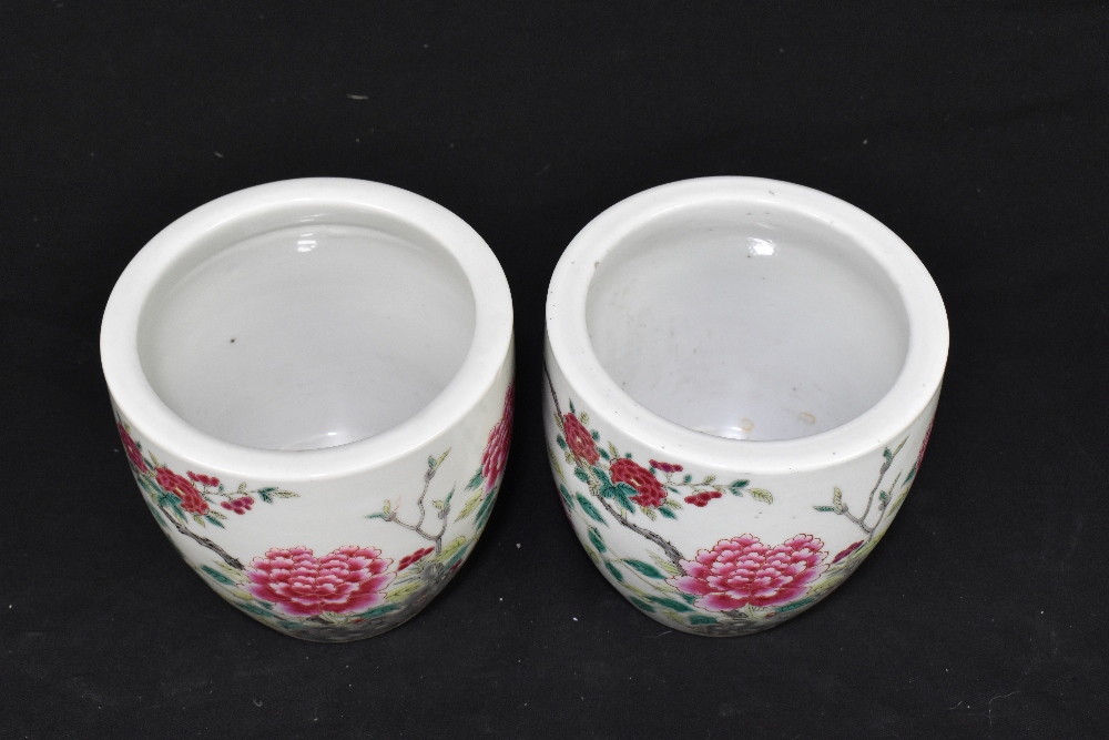 A pair of 19th century Chinese Famille Rose jardinières, decorated with butterflies and blossoming - Image 2 of 6