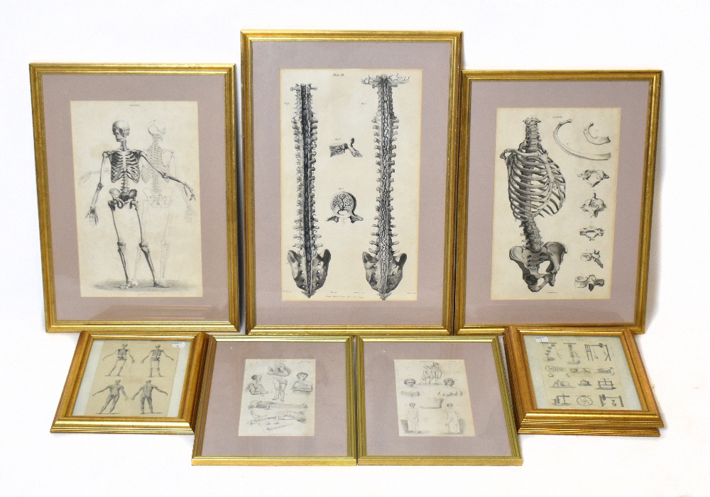 ANATOMICAL PRINTS; a system of anatomical plates by John Lizars comprising general view of the