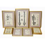 ANATOMICAL PRINTS; a system of anatomical plates by John Lizars comprising general view of the
