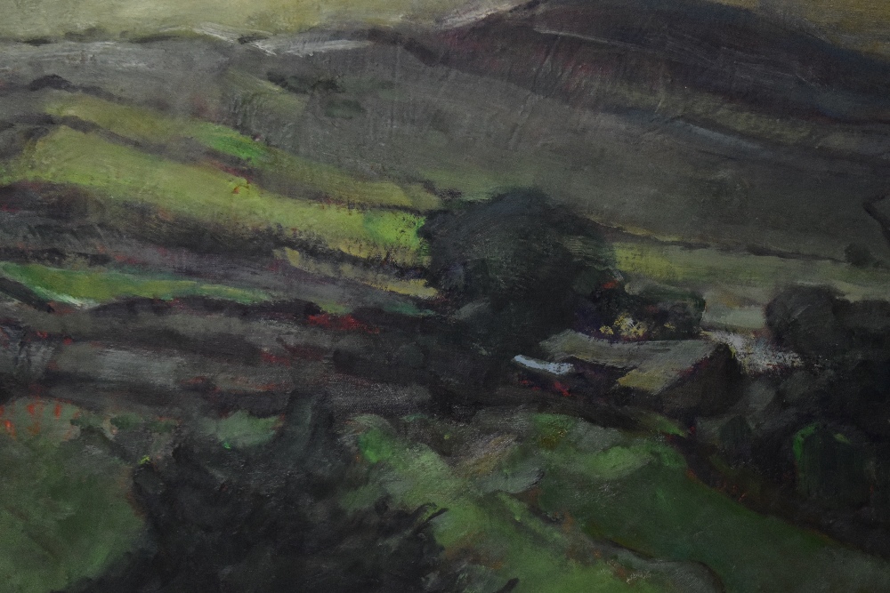 PETER SHAW (1926-1982); oil on canvas, landscape, signed and dated '73 lower right, 70 x 91cm, - Image 4 of 6