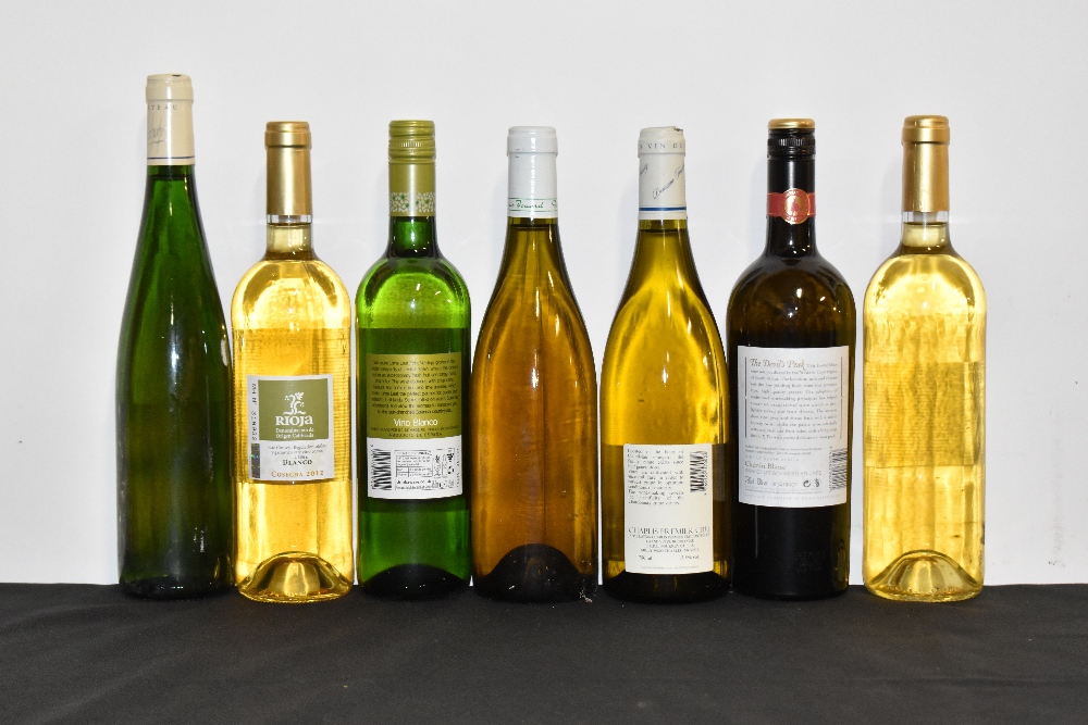 WHITE WINE; fourteen bottles of mixed white wine including one bottle Jane Hunter's, harvest date - Image 3 of 3