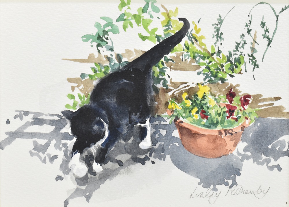 LESLEY FOTHERBY (born 1946); a pair of watercolour of cats, 'Muffin and a Ball' and 'Muffin and a - Image 2 of 4