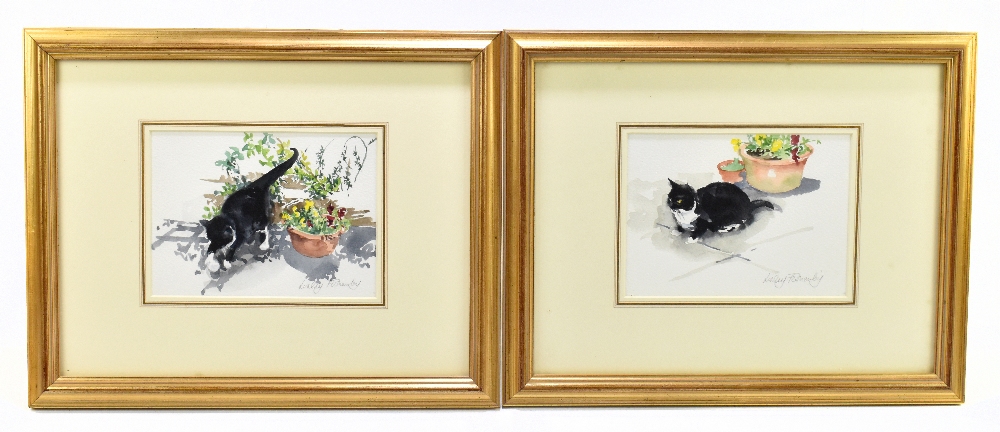 LESLEY FOTHERBY (born 1946); a pair of watercolour of cats, 'Muffin and a Ball' and 'Muffin and a