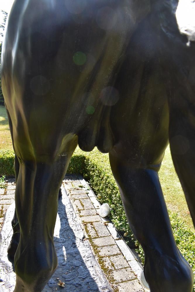 A contemporary bronze life size model of a colt horse standing four square and on integral base, - Image 4 of 4