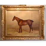 HENRY FREDERICK LUCAS LUCAS (1848-1943); oil on canvas, study of a horse in stable, signed and dated