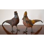 A large pair of Austrian cold painted bronze figures of male and female pheasants, lengths approx.