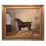 ALBERT JAMES CLARK (fl. 1890-1943); oil on canvas, study of a horse in stable, signed, 50 x 60cm,