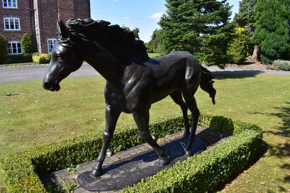 A contemporary bronze life size model of a colt horse standing four square and on integral base, - Image 3 of 4