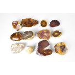 A quantity of diamond disc cut stones and flint, to expose inner minerals and agate,