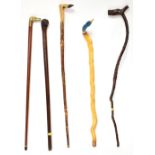 Five novelty walking sticks and canes comprising an example with carved monkey's head and glass