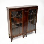 A 19th century Chippendale-style mahogany floorstanding cabinet,