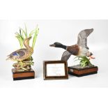 ROYAL WORCESTER; a pair of limited edition Mallards, a duck and a drake, modelled by R.