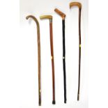 Four various walking sticks comprising one with horn handle and white metal collar,