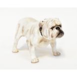 ROYAL DOULTON; a porcelain figure of a bulldog HN1074, height 8cm.