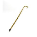 An Edwardian wooden walking cane decorated as horn, with hallmarked silver hoof finial and collar,