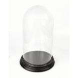 A contemporary glass dome on black painted base, height 40cm.