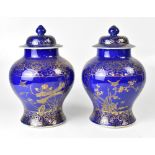 A pair of Chinese Kang Xi Period ginger jars with covers,