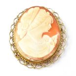 A vintage carved shell cameo depicting the head and shoulders of a beauty,