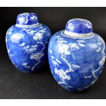 A pair of late 19th/early 20th century Chinese large blue and white ginger jars with prunus