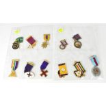 MASONIC INTEREST; twelve various Masonic jewels, to include Masonic Samaritan Fund, Grand Charity,