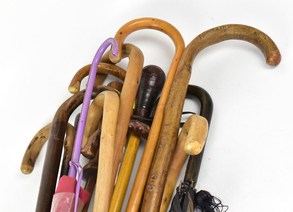 Eleven various walking sticks and canes, - Image 2 of 2