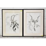 CLIVE WALKER; a pair of prints depicting a kudu and a sable antelope, each 33 x 47cm,