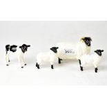 BESWICK; a Blackface sheep with two Blackface lambs, and a Friesian calf (4).