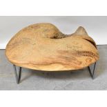 A carved wooden sculpture of a whale with adzed finish, pearl inset to eye and wooden inset teeth,