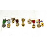 MASONIC INTEREST; a group of nine mostly Masonic-style jewels, mainly late 19th/early 20th century,