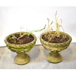 Two composite stone planters of circular form with scrolling leaf and flower decoration,