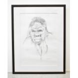 KATE DENTON (British, born 1954); pencil and charcoal, 'Portrait of a Gorilla', signed lower right,