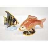 ROYAL CROWN DERBY; two Imari and similar decorated porcelain fish paperweights,