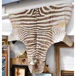 A zebra skin rug with felt back, length