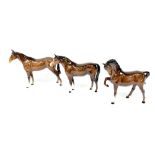 BESWICK; three gloss brown horses to include a racehorse second version, head tucked leg up,