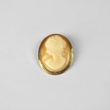 A cameo pendant brooch in a 10ct yellow gold frame with loop for necklace, approx 3.6g.