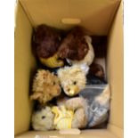 GIORGIO BEVERLY HILLS; thirteen various collectors' bears, each with labels for the years,