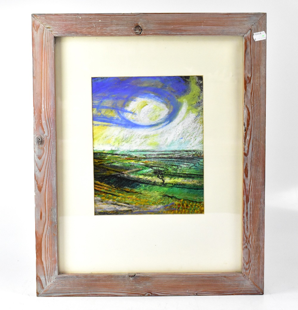 STEVE DES LANDES (born 1962); oil pastel, landscape of fields with blue sky, unsigned, 27.