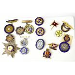 Seventeen military, Naval and other badges,