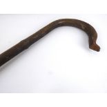 A large original shepherd's crook walking stick, height 173cm.