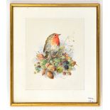 MARIE MCCORMICK; watercolour, a robin seated upon blackberries, signed, 25.5 x 20.