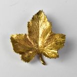 A 9ct gold textured leaf brooch, length approx 3.4cm, approx 4.6g.