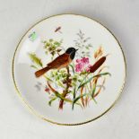 ROYAL WORCESTER; a cabinet plate hand painted with a bird perched on a branch,