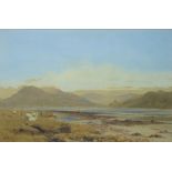 JAMES WHAITE (British, 19th century); watercolour depicting sheep on wetland,