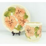 MOORCROFT; a 'Hibiscus' pattern ivory ground planter, height 13cm, diameter 13cm,