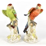 BIDASOA; a pair of Spanish porcelain figures of parrots perching on naturalistic plinth bases,