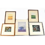 A group of five limited edition etchings including an example by Linda Hill and Rob Roberts, various