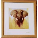 After David Shepherd. Wildlife artist of the year. Signed print of an elephant. 22 x 24 cm. Framed