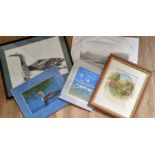 Various nature prints and photography signed by artists